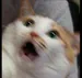 emit32K