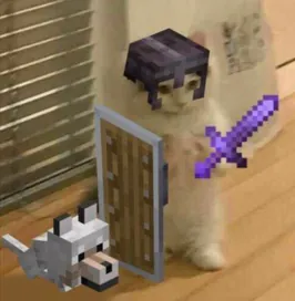 xddmaximo