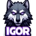 X_IGOR