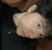 Alansun