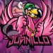flamencojuanillo