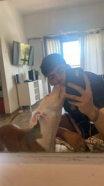 Dylanhzz