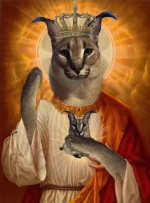 servilli avatar