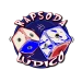 rapsoda-ludico