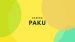 Paku1337