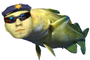 4Cod