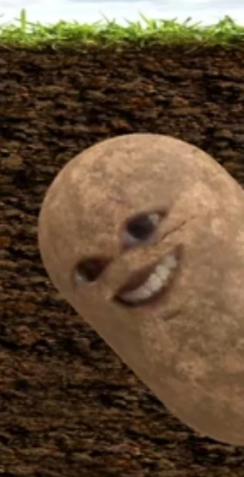 lapapitasalsera