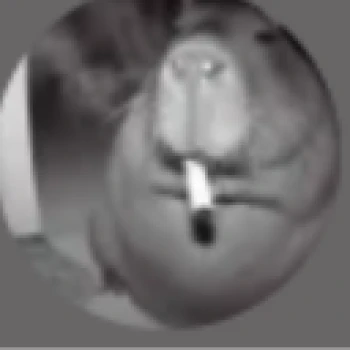 deletdj