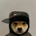 Dinitero