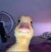 Zerobi