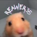 reawer35