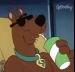 scoobydooxd