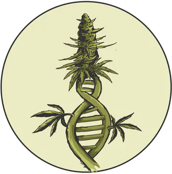 Jsmedilounge