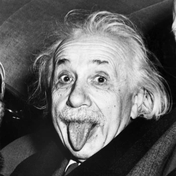 Kick profile picture for @einstein