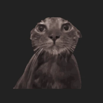 Kick profile picture for @pseudo