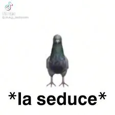 Pepito_22xd