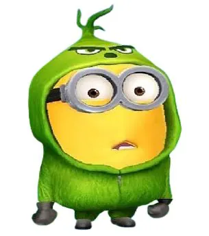 bachonok