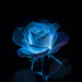 Skyerose1990