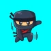 diceyninja