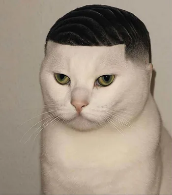 Sakazuki_1