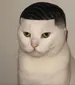 Sakazuki_1