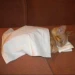 RitzPie