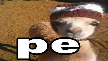 mitroxzx