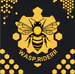 Wasp_Riderr