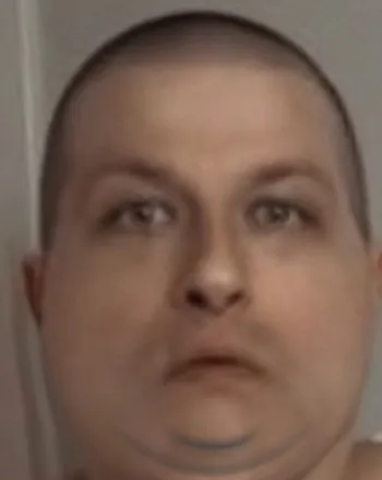 shaneyit