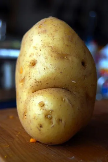peytaytyo