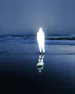 erobianTeleforce