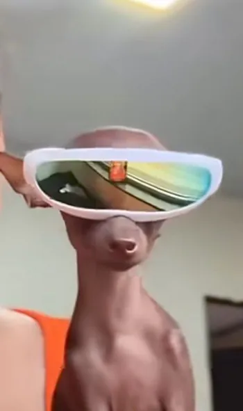 luangt999