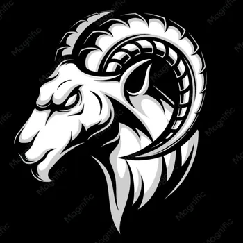 aries_xv