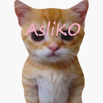 Aslik0
