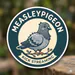 MeasleyPigeon