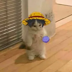 Hzel
