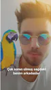 zguRR