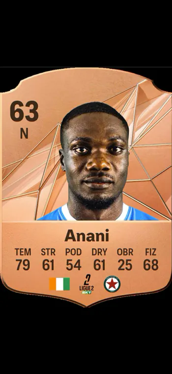 Anani1337