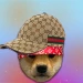 gillyreps avatar