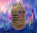 kingboxhead avatar
