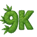 9Kemo