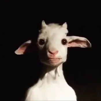 AdowHQ