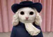 Quaker2