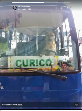 xnglou121