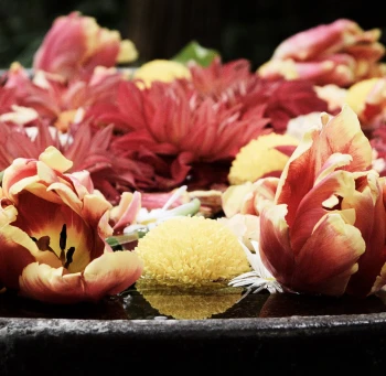 fueda218 Stream - Watch Live on Kick