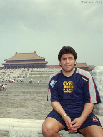 terraniio