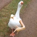 supr3mea2