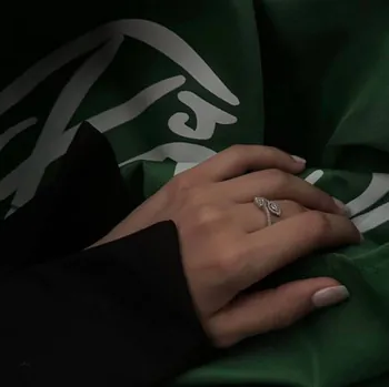 Aseel_l6