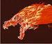 Xectras0