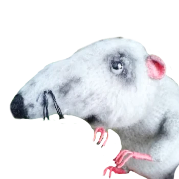 Kick profile picture for @shaggy